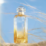 hermes perfume in field